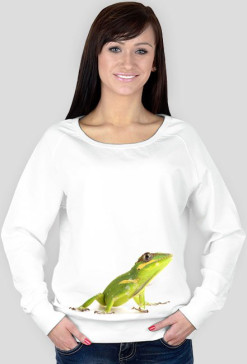 SWEATSHIRT W044