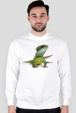 SWEATSHIRT M089