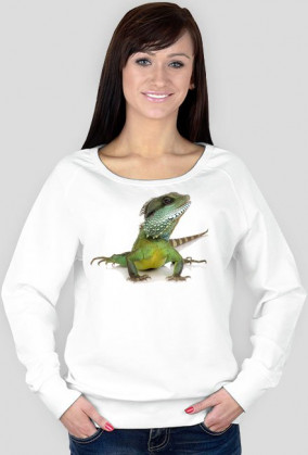SWEATSHIRT W045