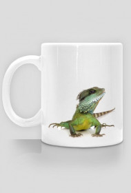 MUG 040