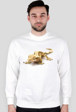 SWEATSHIRT M090