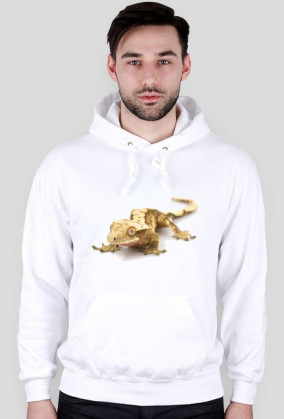 SWEATSHIRT M091
