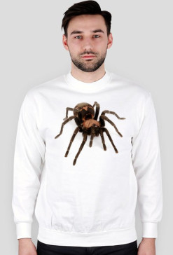 SWEATSHIRT M093