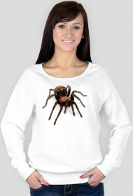 SWEATSHIRT W047