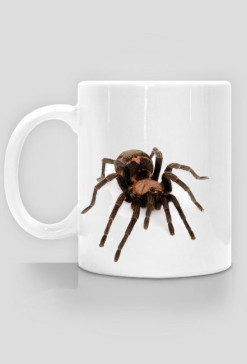 MUG 042