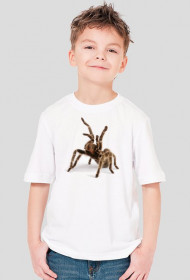 SHIRT C048