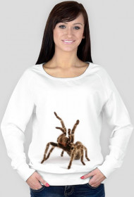 SWEATSHIRT W048