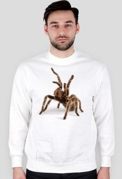 SWEATSHIRT M094