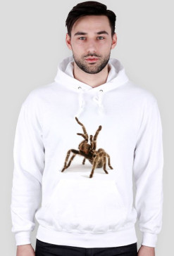 SWEATSHIRT M095