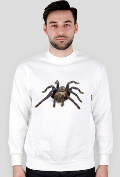 SWEATSHIRT M097