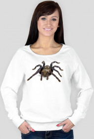 SWEATSHIRT W049