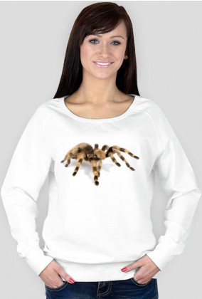 SWEATSHIRT W050