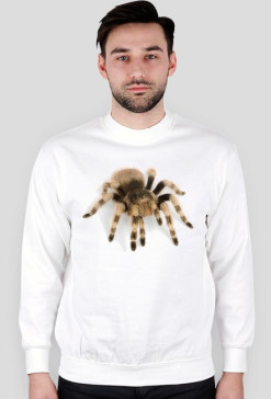 SWEATSHIRT M101