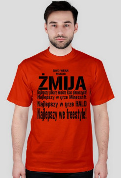 Zmija