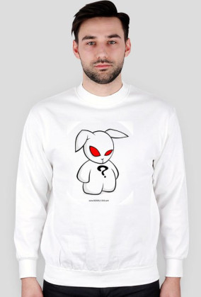 BLUZA