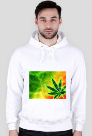 Rasta