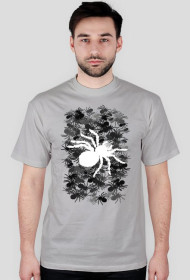 Pajączki Szaraczki ON