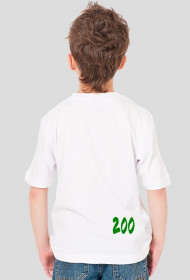 żyrafa zoo