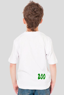 żyrafa zoo