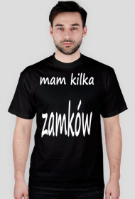 mam kilka zamków