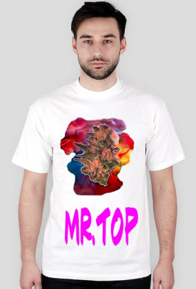Mr.Top