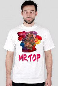 Mr.TOP