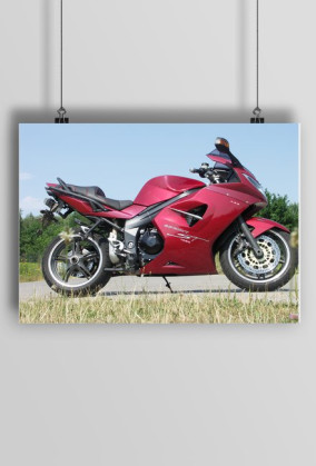 Triumph plakat