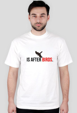 After Birds