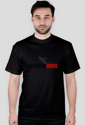 After Birds