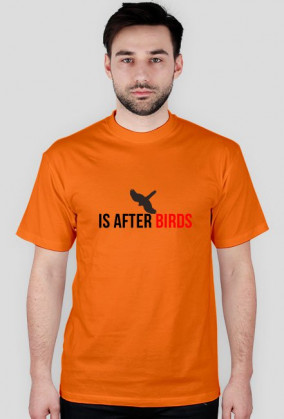 After Birds