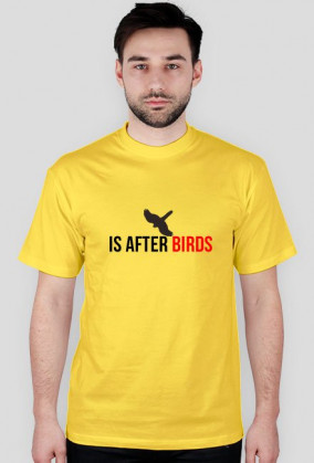 After Birds