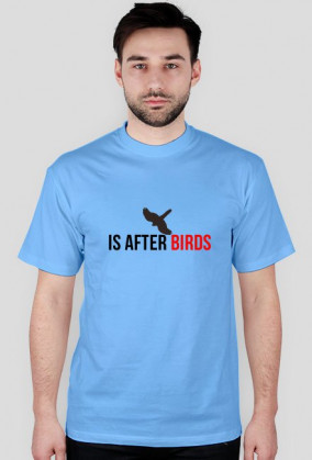 After Birds