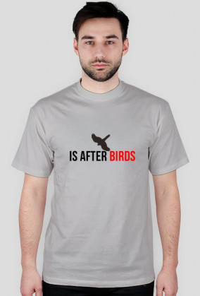 After Birds