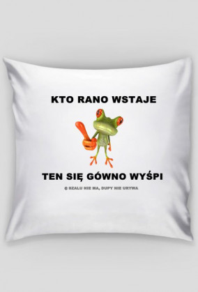 Szałowa poduszka 3