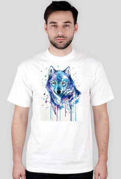 Wilk wolf