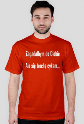 Koszulka Trochę się cykam męska