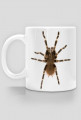 MUG 047