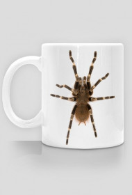 MUG 047