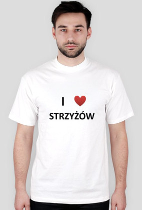 Strzyżów 3