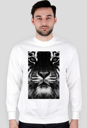 Bluza Tygrysi pysk