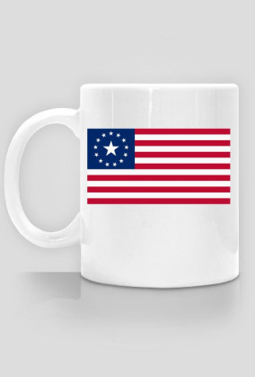 "Fallout New U.S.A" Kubek