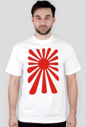 Japan Sun Rising