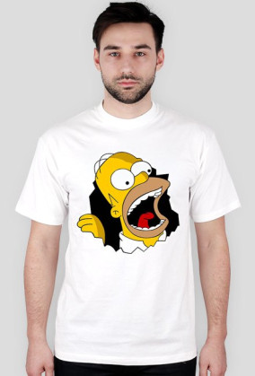 Homer