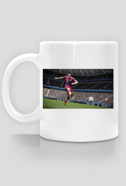 Kubek [Fifa 15]