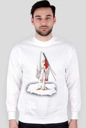 Freedom, Poland and Iron Curtain Bluza Męska