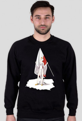 Freedom, Poland and Iron Curtain Bluza Męska