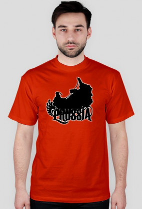 Prussia T-Shirt męski, różne kolory