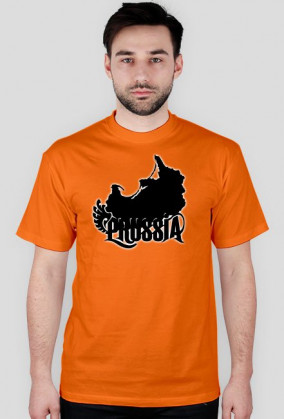 Prussia T-Shirt męski, różne kolory