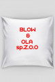 Poduszka Blow &Ola