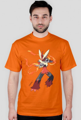 PokemonT-Shirt MegaBlaziken